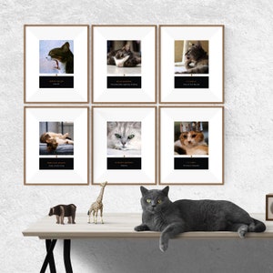 Set of 3 or 6 Literary Cat Pun Penguin Classic Book Covers. Great gift for a cat lover image 1