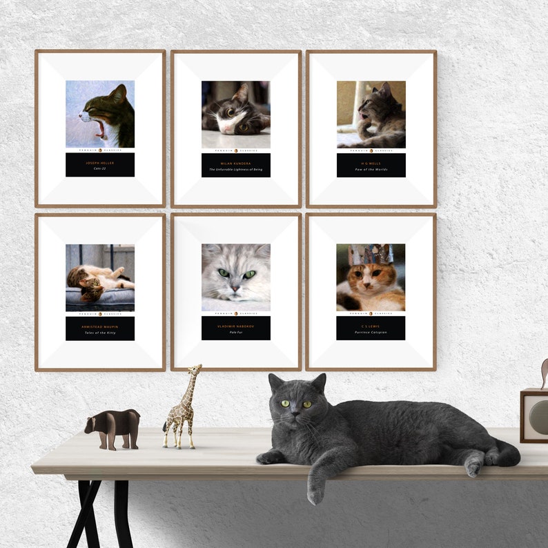 May include: Six framed cat photos with black and white text underneath each photo. The photos are hung on a white wall. A gray cat is sitting on a wooden table in front of the photos. A brown giraffe figurine and a brown bear figurine are on the table.