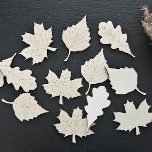 Leaf Mix 12 Pieces Wood Decoration Birch Maple Oak Autumn Craft Material Craft Wood Decorative Material