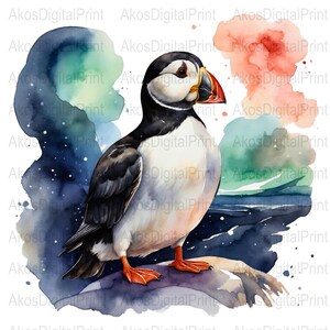 Aquarelle oiseau macareux PNG, téléchargement numérique pour sublimation, oeuvre d'art pour chambre d'enfant, cartes de voeux, tasses, usage commercial, numérique instantané