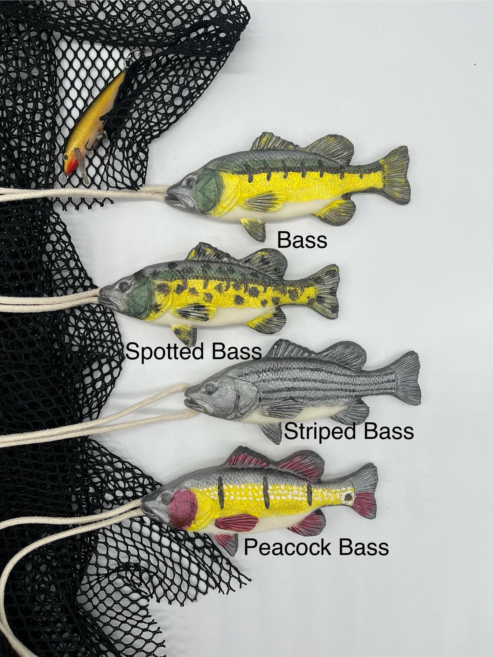 Spotted Bay Bass Best Bait For Sand Bass LUCKY CRAFT FlashMinnow