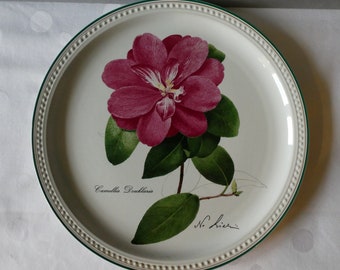 Villeroy & Boch Sammlerteller 1981 - Camellia Douklaria, gemalt von Nicolas Liez. Keramikteller, signiert und gestempelt.