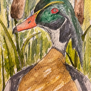 Duck card