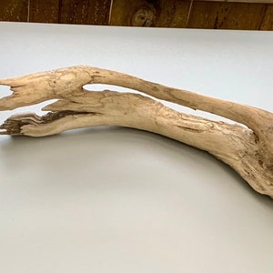 Driftwood 20” Natural Aquarium Wood Terrarium Decorr