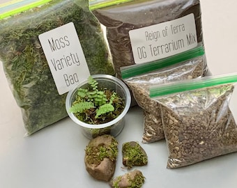 Terrarium Kit with Live Moss, Ferns, Stones & Hand-Mixed Soil. Everything but the glass!