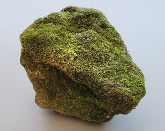 Mossy Rock 5” Natural Terrarium Decor