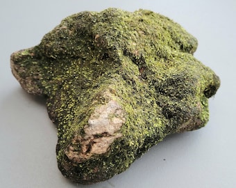 Mossy Rock 5” Natural Terrarium Decor