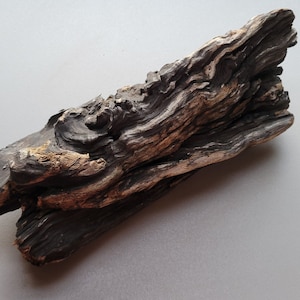 Driftwood 15”, Natural Wood for Aquarium Wood, Terrarium Decor