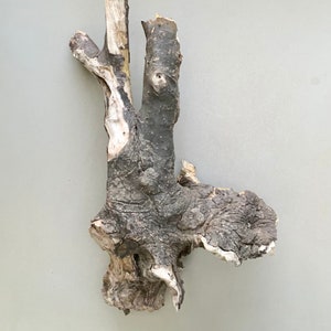 Driftwood 19” All Natural Aquarium Wood Terrarium Decor