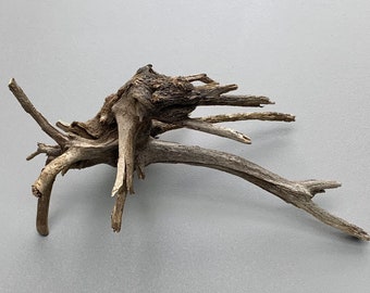 Spider Wood for Aquarium use, Natural River Wood, Terrarium Decor, Bonsai Wood, Fairy Garden 12” V