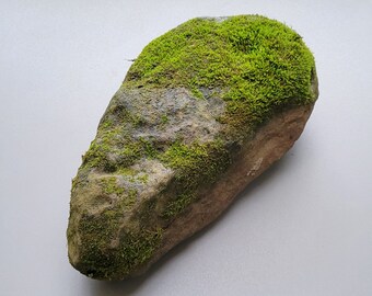 Mossy Rock 12” Natural Terrarium Decor