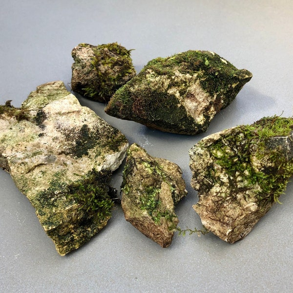 Mossy Rocks, Mini Moss Rocks for Terrarium Decor, Fairy Gardens, Bonsai, Zen Gardens, Craft Use