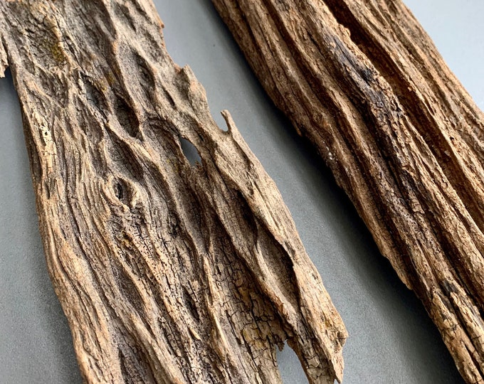 View of Aquarium Driftwood, Terrarium Decor 2pcs C - Etsy