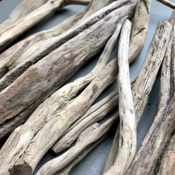 Driftwood Branches All Natural Terrarium and Aquarium Decor