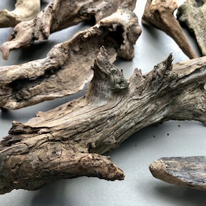 May include: A collection of driftwood branches in various sizes and shapes. The branches are a light brown color and have a rough, weathered texture.