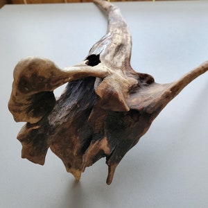 Driftwood 22”, All Natural Aquarium Wood Terrarium Decor