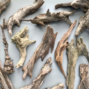 Driftwood Mix, Freshwater Driftwood for Aquariums, Terrariums, Habitats, and Art Projects! 3 Sizes Available