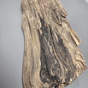 Large Driftwood, Natural Aquarium Wood or Terrarium Decor 22"