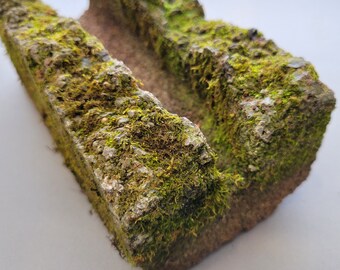 Live Moss on Brick, 8"