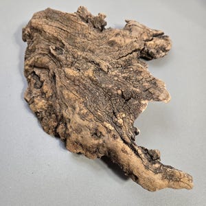 Large Flat Driftwood 12”, Natural Wood for Aquarium Wood or Terrarium Decor