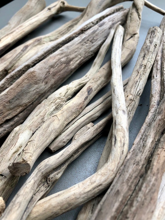 Driftwood Branches All Natural Terrarium and Aquarium Decor