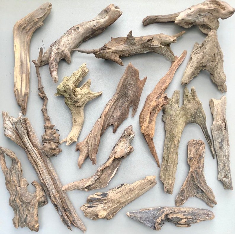 May include: A collection of natural driftwood pieces in various shapes and sizes. The driftwood is light brown and gray in color and has a rough, weathered texture.