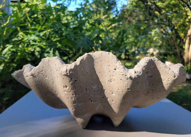 Concrete Seashell Planter - Thumbnail 3