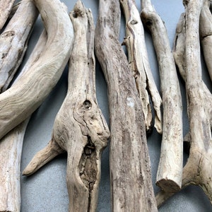 May include: A collection of driftwood sticks in various sizes and shapes, with a natural, weathered, light brown color. The sticks are arranged in a random pattern, showcasing their unique textures and knots.