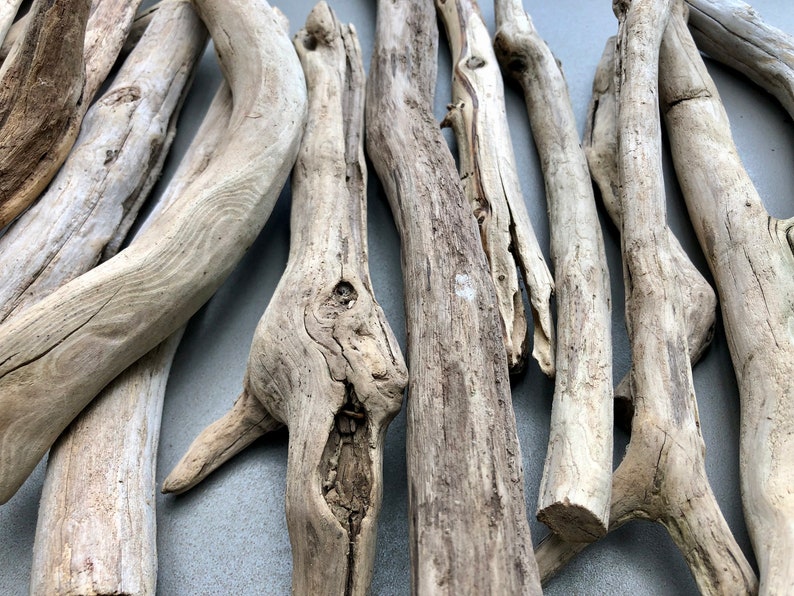 May include: A collection of driftwood sticks in various sizes and shapes, with a natural, weathered, light brown color. The sticks are arranged in a random pattern, showcasing their unique textures and knots.