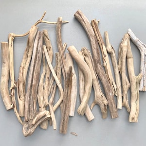 May include: A collection of driftwood sticks in various sizes and shapes, ranging from light to dark brown in color. The sticks are arranged in a random pattern on a light gray background.