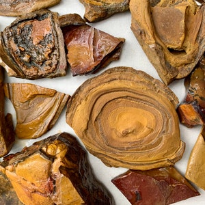 May include: A collection of brown and red agate stones with various patterns and textures. The stones are irregularly shaped and have a natural, polished finish.