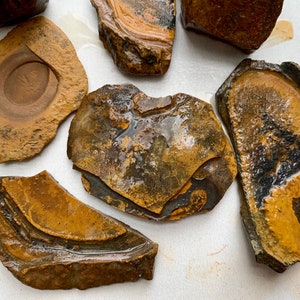 May include: Close-up of several irregularly shaped, brown and black stones with a smooth, polished surface. The stones have a variety of patterns and textures.