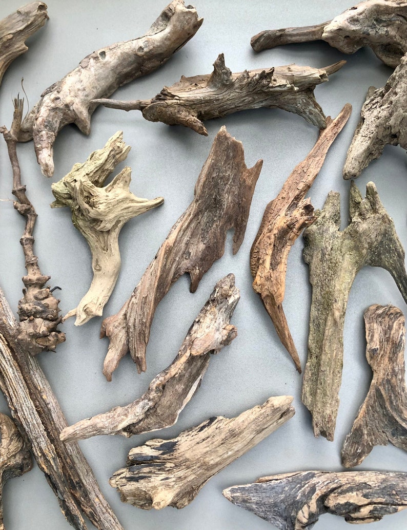 May include: A collection of driftwood pieces in various shapes and sizes. The driftwood is a natural brown color and has a rough, weathered texture.