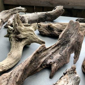 May include: A collection of driftwood pieces in various shapes and sizes. The driftwood is a light brown color and has a rough, weathered texture.
