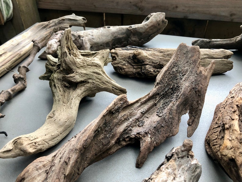May include: A collection of driftwood pieces in various shapes and sizes. The driftwood is a light brown color and has a rough, weathered texture.