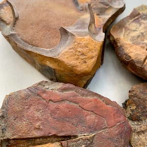 May include: Close-up of three brown and red fossilized stones with intricate patterns and textures. The stones are irregularly shaped and have a rough surface.