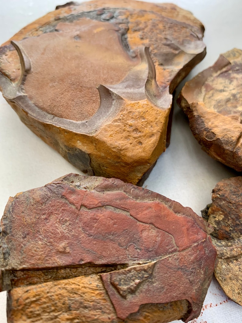 May include: Close-up of three brown and red fossilized stones with intricate patterns and textures. The stones are irregularly shaped and have a rough surface.