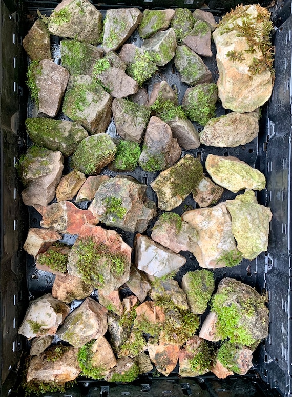 24 Pcs Artificial Moss Rocks Decorative Faux Green Moss Covered Stones Fake Moss Balls Garden Decor Diy Floral Arrangements Plant Poted Decoration
