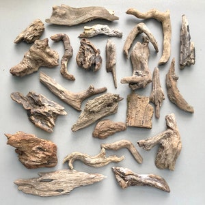 May include: A collection of driftwood pieces in various shapes and sizes. The driftwood is a natural brown color and has a rough, weathered texture.