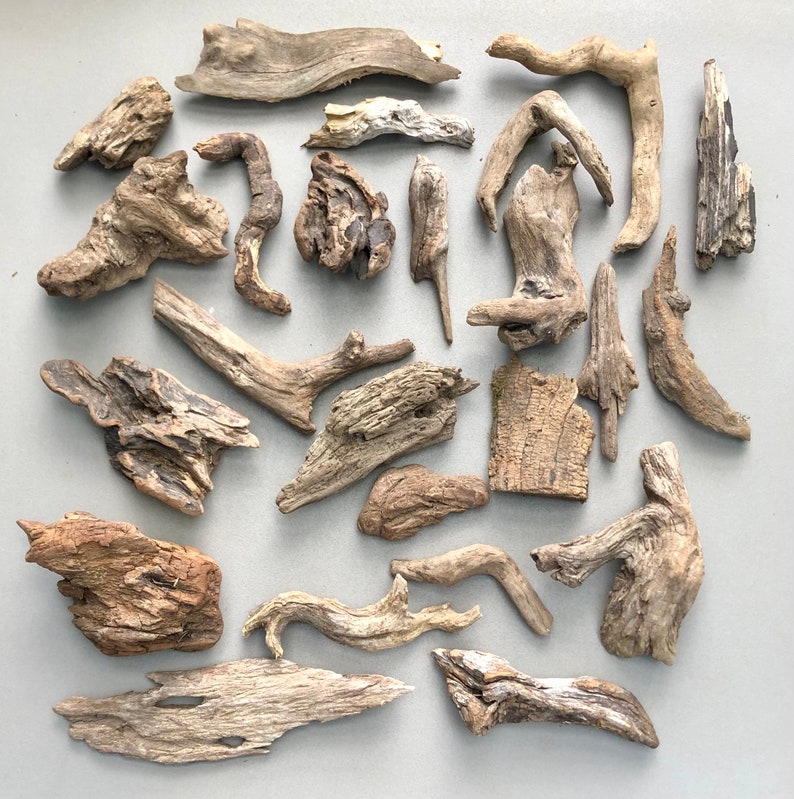 May include: A collection of driftwood pieces in various shapes and sizes. The driftwood is a natural brown color and has a rough, weathered texture.