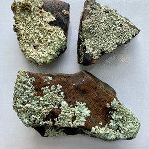 Puede incluir: Tres rocas de forma irregular cubiertas de l&iacute;quenes verdes. Las rocas son marrones y tienen una textura rugosa.