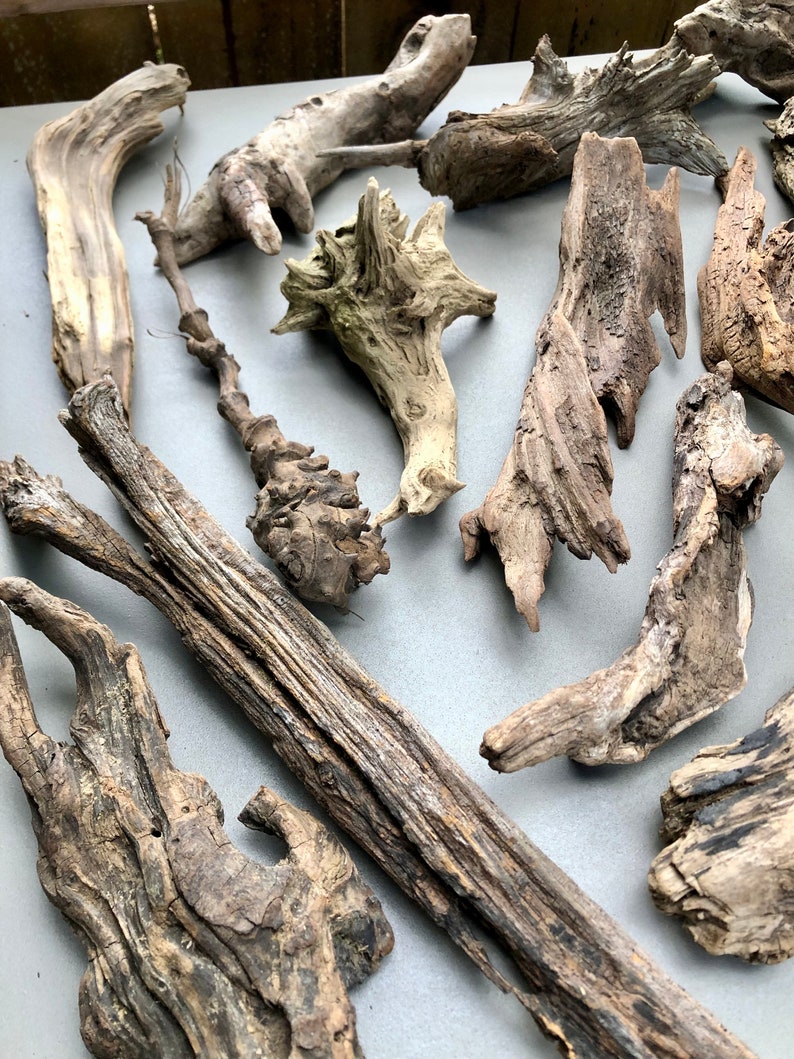 May include: A collection of driftwood pieces in various shapes and sizes. The driftwood is a natural brown color and has a rough, weathered texture.