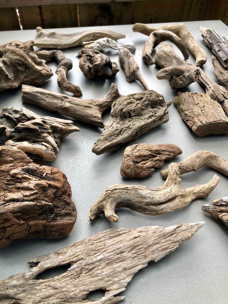 May include: A collection of driftwood pieces in various shapes and sizes. The driftwood is a natural brown color and has a rough, weathered texture.