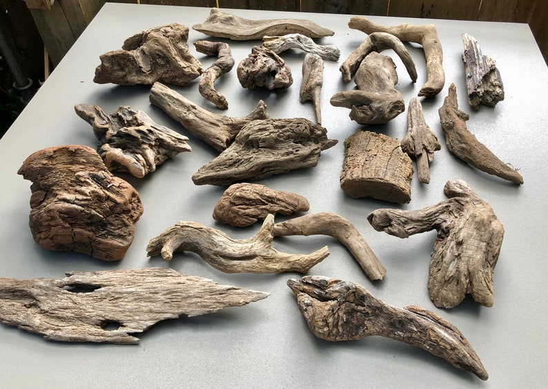 May include: A collection of driftwood pieces in various shapes and sizes. The driftwood is a natural brown color and has a rough, weathered texture.