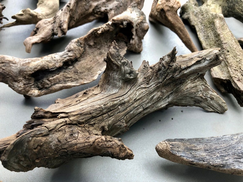 May include: A collection of driftwood branches in various sizes and shapes. The branches are a light brown color and have a rough, weathered texture.