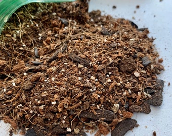 Tierra para terrarios mezclada a mano, mezcla premium multiusos