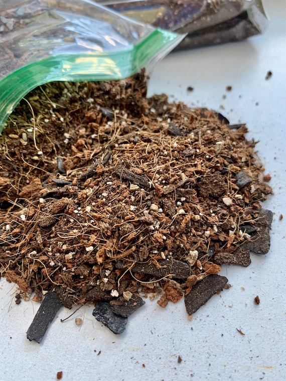 Terrarium Soil Substrate A Handson Guide Best Mixes)