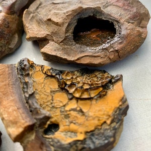 May include: Three small, irregularly shaped, brown and orange rocks with a rough, textured surface. One rock has a small, dark hole with a brown interior.
