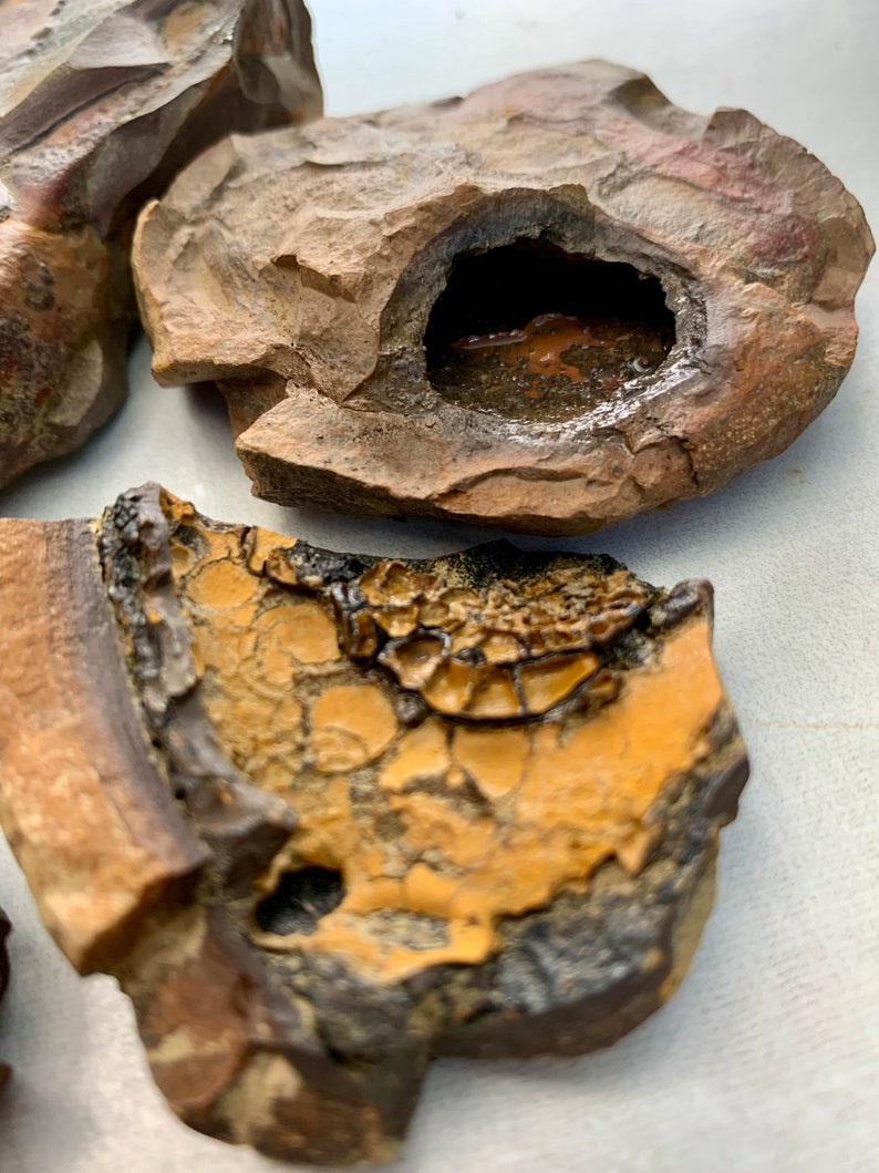 May include: Three small, irregularly shaped, brown and orange rocks with a rough, textured surface. One rock has a small, dark hole with a brown interior.