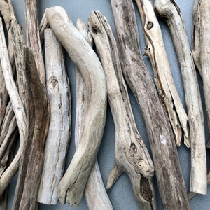May include: A collection of driftwood sticks in various sizes and shapes, with a light gray and brown color palette. The wood has a natural, weathered look.